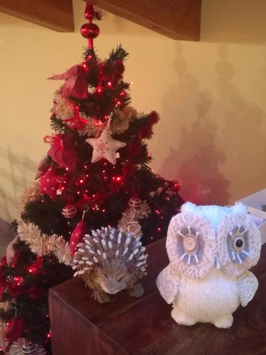 La Maison D' Amelie - image 10