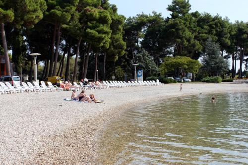 Family friendly apartments with a swimming pool Fratrici Umag - 14384 - image 6