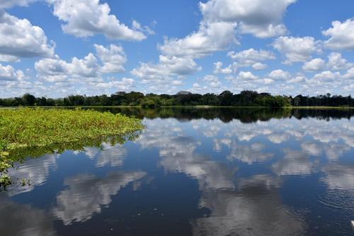 Yaku Amazon Lodge & Expeditions