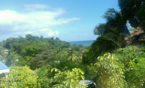 Surrounding environment, Kaz A Ti Jo in Petit-Bourg