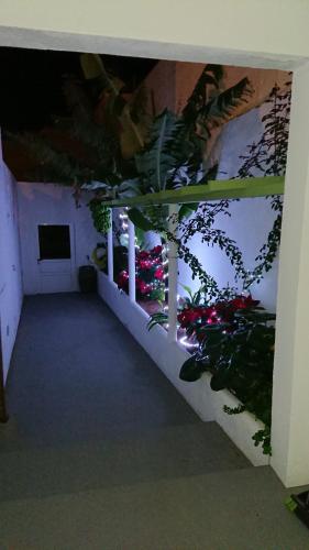 Casa Villalba 4