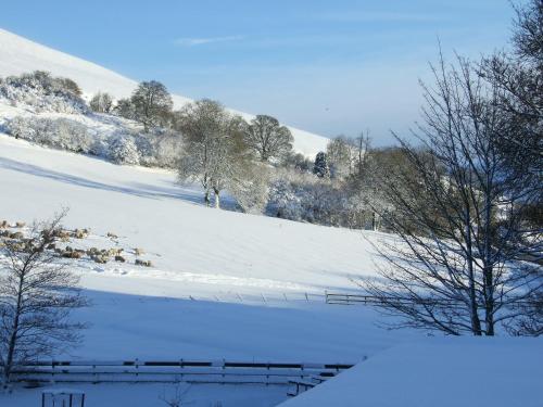 The Red Lion Country Inn B&B self catering - image 12