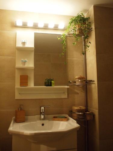 Charming Studio Posh Quartier (Kolonaki Athens)