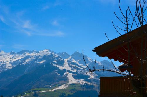 APT Mountain View by - Alpen Apartments Zell am See