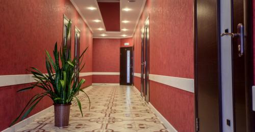 Valencia Hotel - image 3