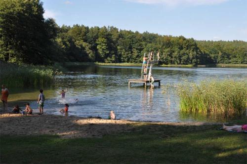 Ferienhaus Warthe UCK 2041 - image 2