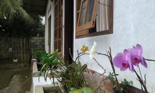 Sekaton Homestay