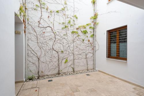 A dos pasos de Todo, Málaga (fotografie 9)