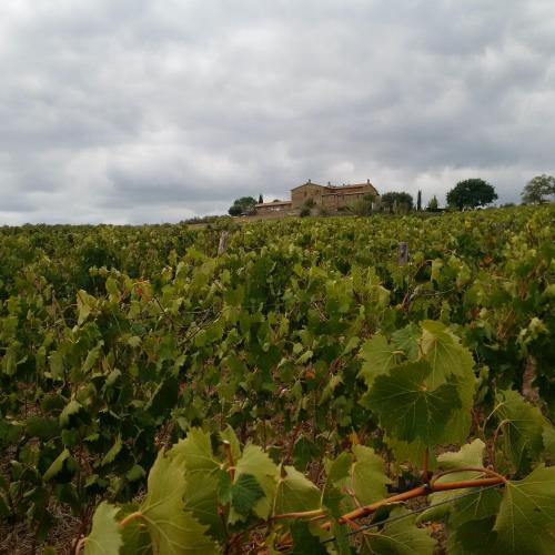 Agriturismo Podere del Vescovo