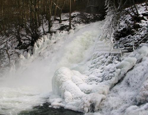 Le Baron Apartments - image 4