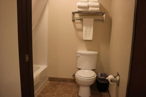 Cobblestone Inn & Suites - Maryville