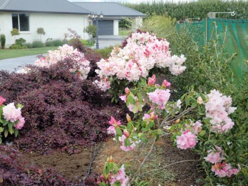 Matangi Oaks Boutique B & B photo 3