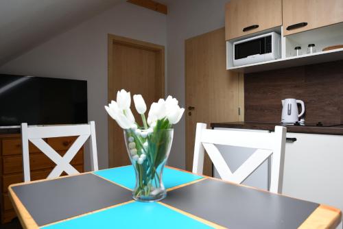 Apartmány Vízmberk - image 9