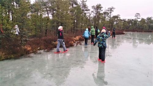 Haudamäe Puhkemaja