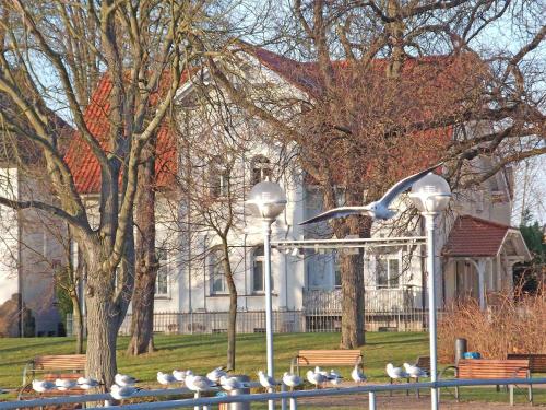 Stadtvilla an der Mueritz SEE 8970 - image 4