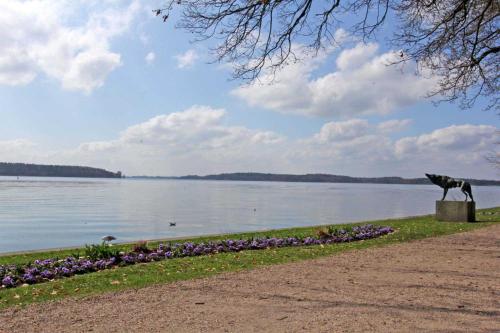 Stadtvilla an der Mueritz SEE 8970 - image 9