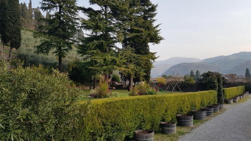 Ristorante & Country Hotel Villa De Winckels