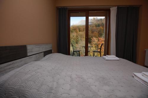 Apartment near didveli ski area - Bakuriani