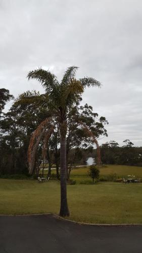 Tabourie Lake Motor Inn