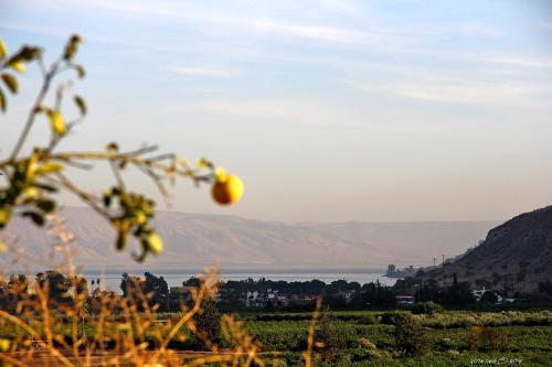 נופש דביר - סוויטות מקסימות ובקתה כפרית עם ג'קוזי ליד הכנרת - יש מקלט צמוד