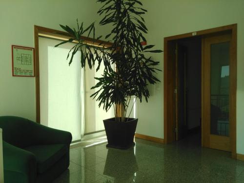 Dom Hotel - image 14