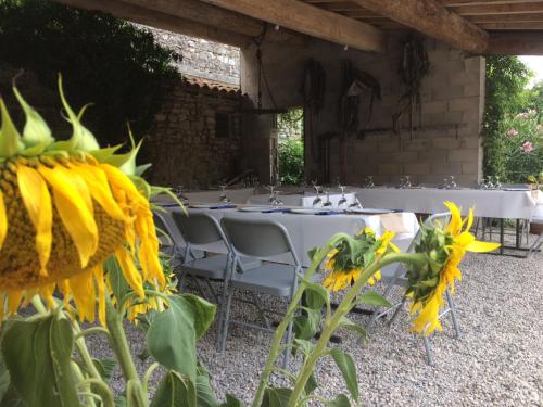 Restaurant, Le Coing des Vignes in Oceanfront