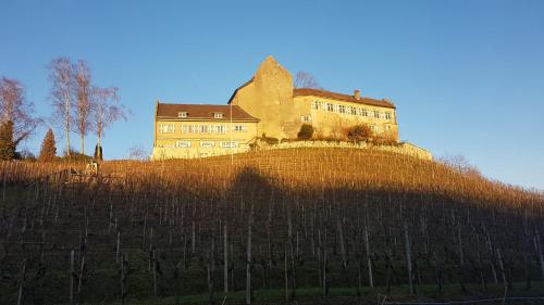 Hotel & Restaurant Schloss Schwandegg