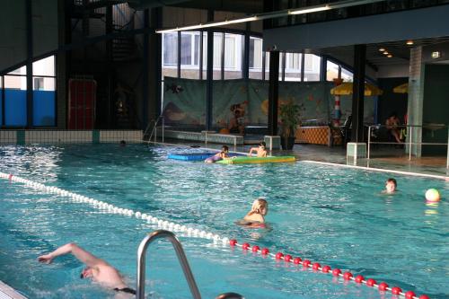 Swimming pool, Chalet Helmgras J4 in Buren