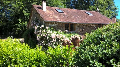 Le Moulin Neuf - Dordogne SW France gîte à louer Séreilhac