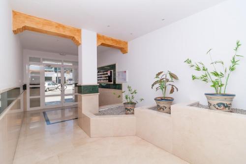Zorrilla Torrecilla Nerja