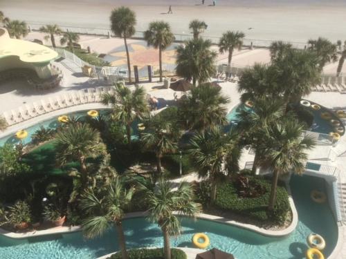 Ocean Walk Resort 702 - image 4