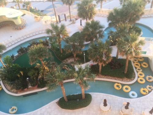 Ocean Walk Resort 702 - image 7