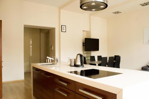 Sauna Luxurious Apartment, Cracovie (photo 4)