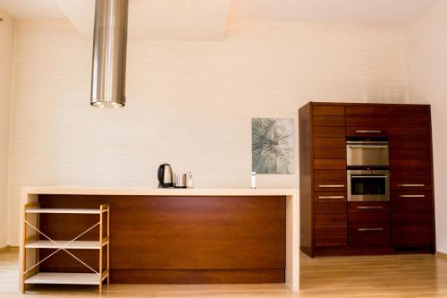 Sauna Luxurious Apartment, Cracovie (photo 5)