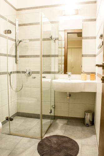 Sauna Luxurious Apartment, Cracovie (photo 6)