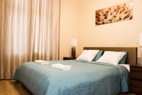 Sauna Luxurious Apartment, Cracovie (photo 9)