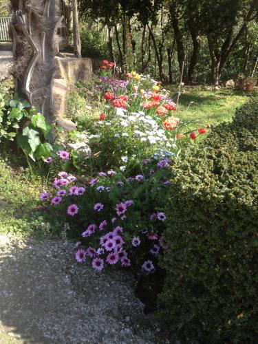 L'Ecrin D'Osely photo 19