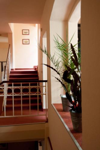 Hotel Paradies - image 12
