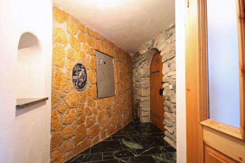 Almliesl RAUR-521 - image 2