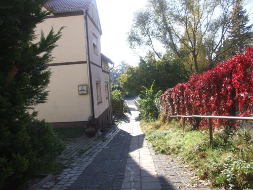 Hostel Schützenbrücke