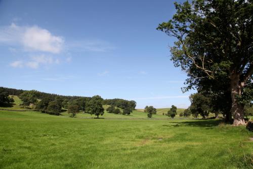 Green Grove Country House - image 13