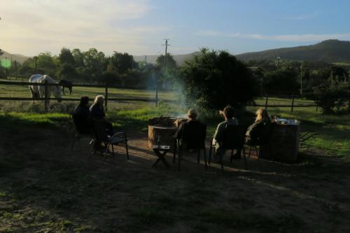 Out of Plett Out of Plett