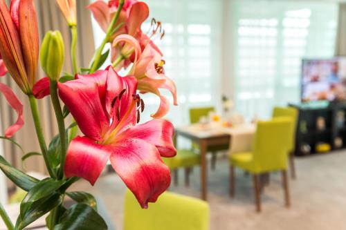Earth & People Hotel & SPA - Free Parking & Swimming Pool, Sofía (foto 7)