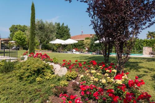 Agriturismo Corte Aurea - image 5