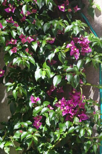 Les Studios de la Madeleine - image 5