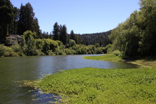 Inn on the Russian River