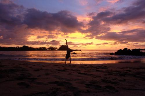 A környék, Mr. Chuoi bar and hut near Surin Nemzeti Park