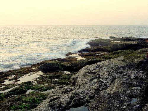 HaRsHraJ BeAcH HOME STAY