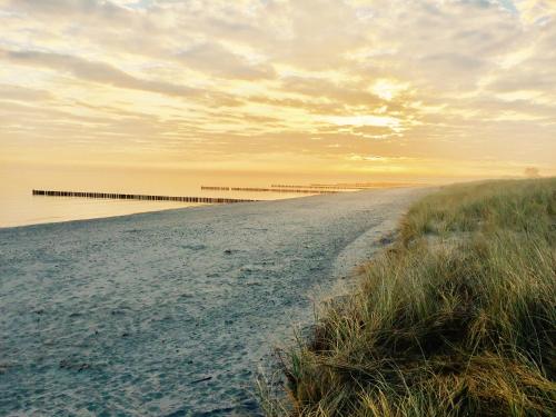 chalet Zingst