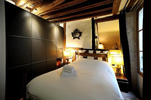 Beautiful apartment in historical Marais - image 10